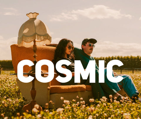 Cosmic Sandbox