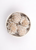 Desert Rose Large | One Colour-Image 2