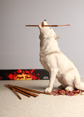 Green Tree Dragon Blood Incense | One Colour-Image 1