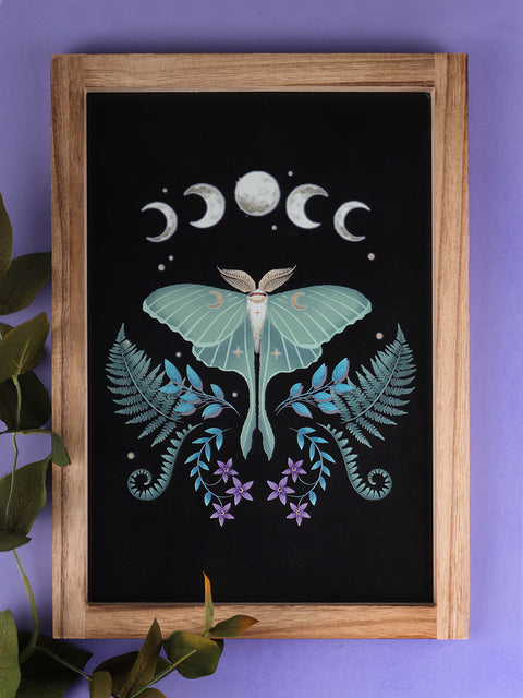 Luna Moth Wooden Framed Wall Art
