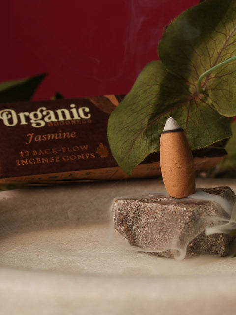 Organic Goodness Backflow Cones
