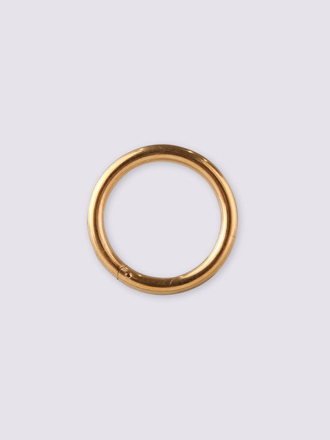 Titanium Plated Hinged Ring 14G