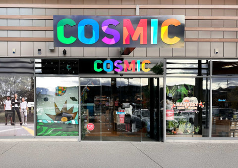 Cosmic Sandbox
