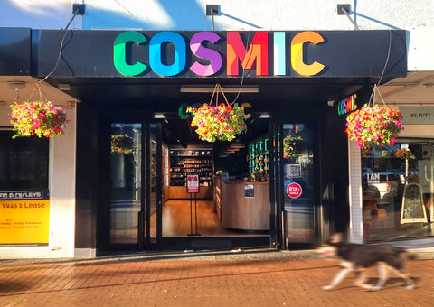 Cosmic Sandbox